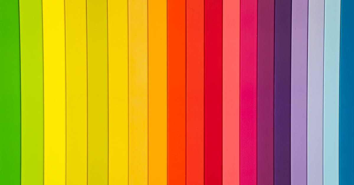 Techniques for Creating Effective Visual Hierarchy in Shell Scheme Graphics